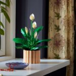 LEGO Botanicals #11504 Lepelplant review