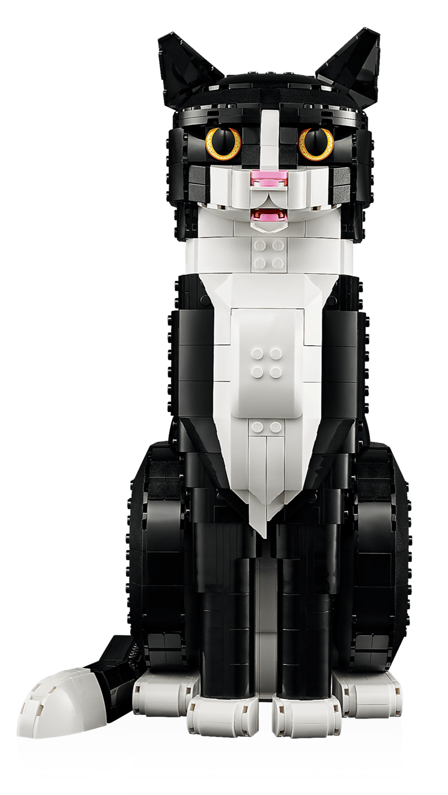 LEGO Ideas Zwart-witte kat 21349 Review