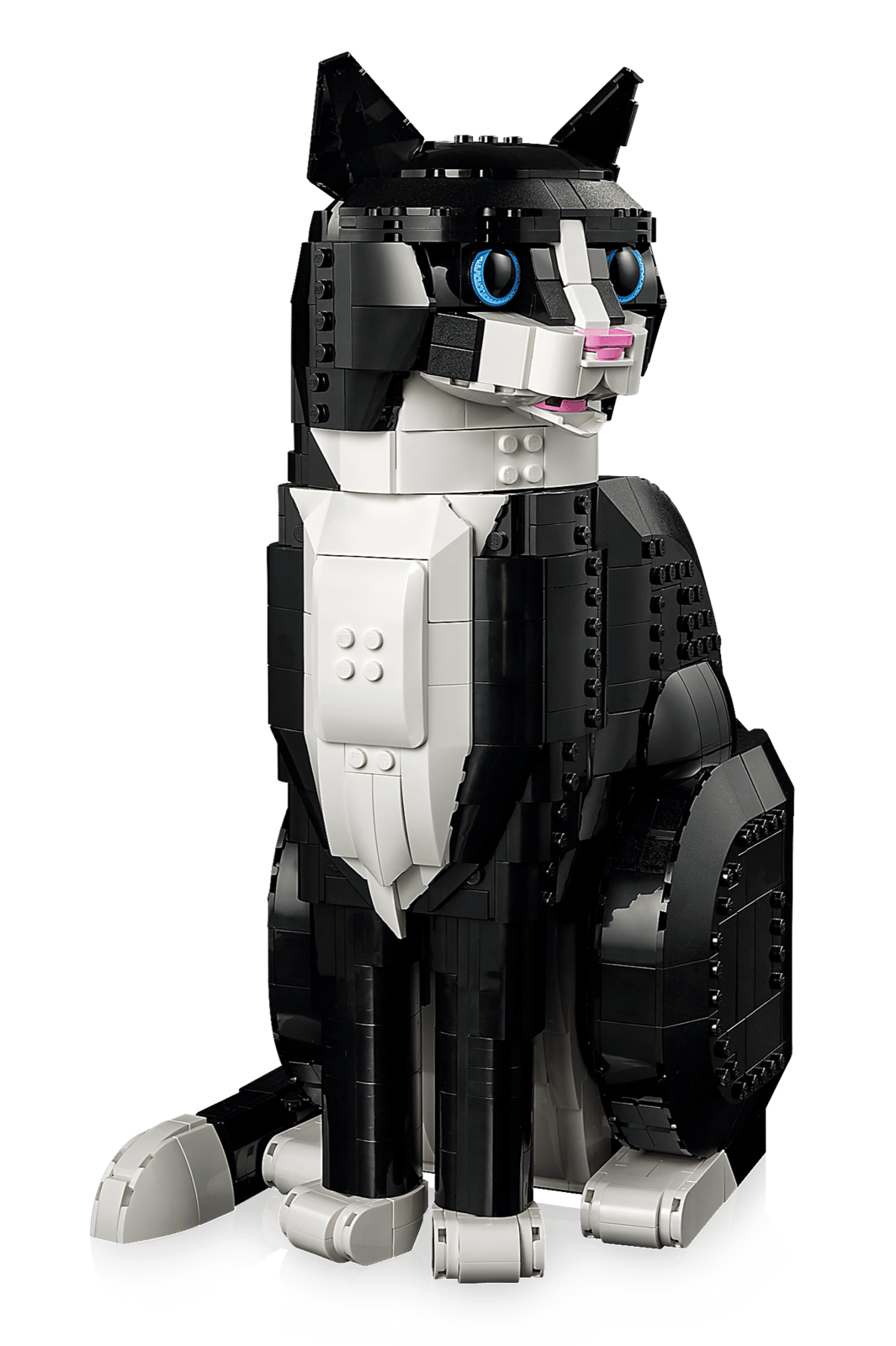 LEGO Ideas Zwart-witte kat 21349 Review