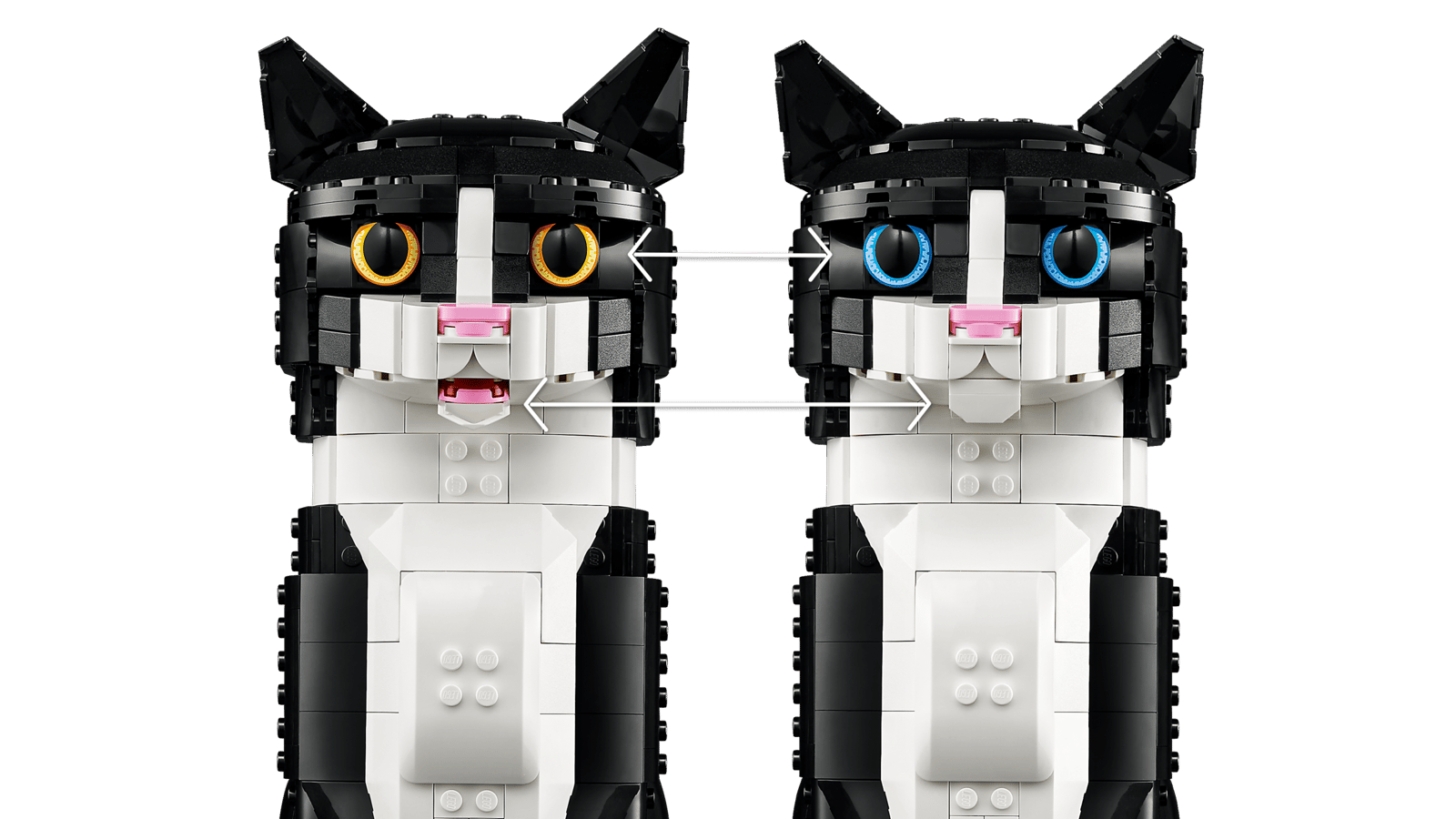 LEGO Ideas Zwart-witte kat 21349 Review
