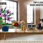 Top 5 LEGO sets voor grootouders