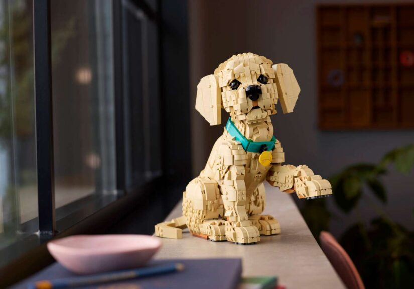 LEGO Golden Retriever Puppy 11384 Review