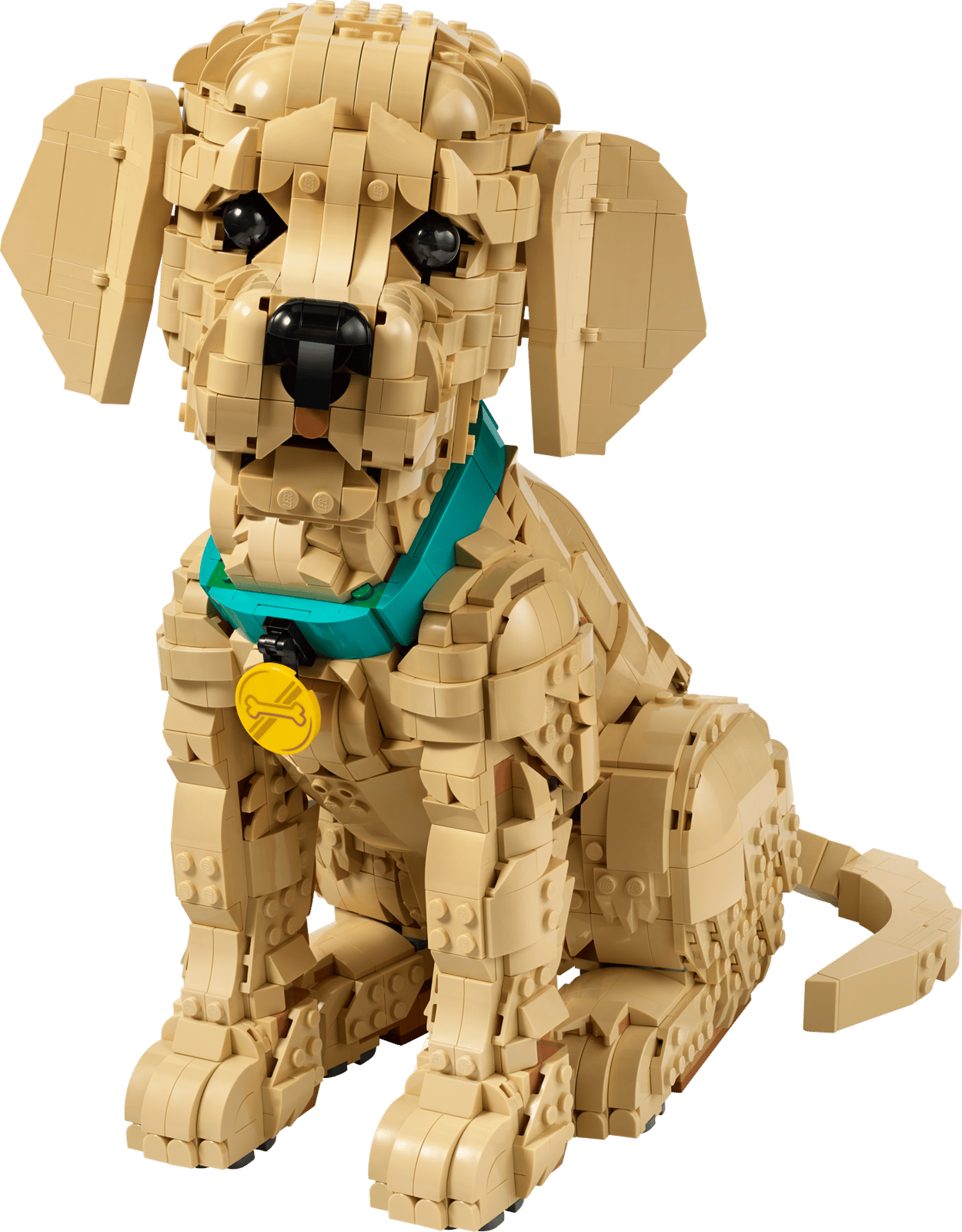 top 5 LEGO Icons sets voor volwassenen