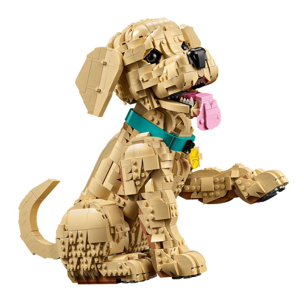 LEGO Golden Retriever Puppy 11384 Review-11384_WEB_SEC03_NOBG LEGO Golden Retriever Puppy 11384 Review